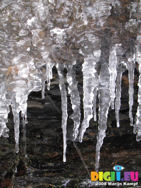 SX02110 Icicles on little stream